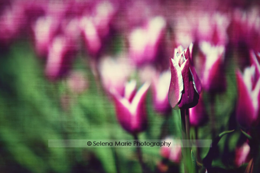 20100417_blog_01-2