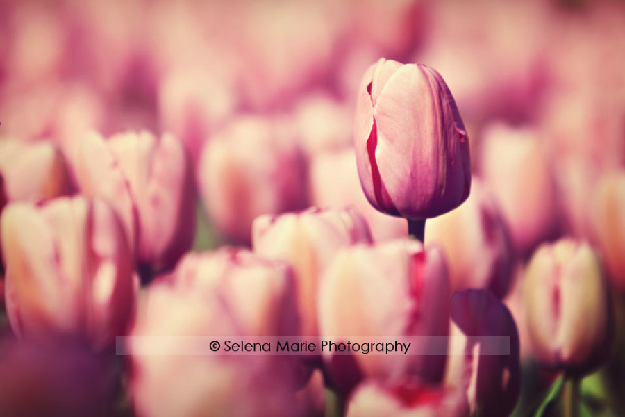 20100417_blog_01