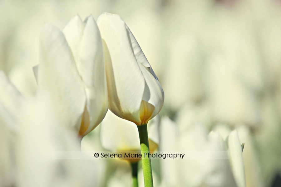 20100417_blog_02-2