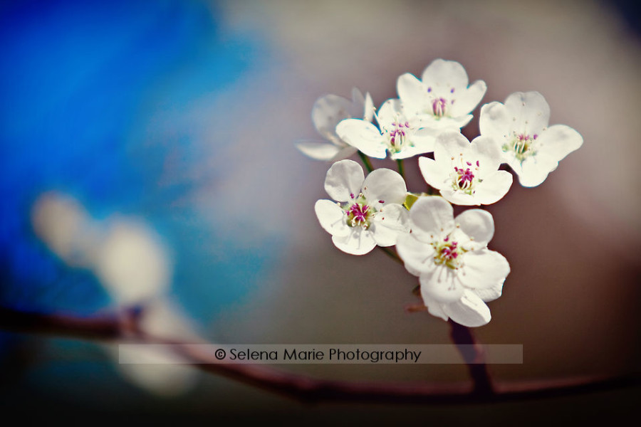 20100417_blog_02