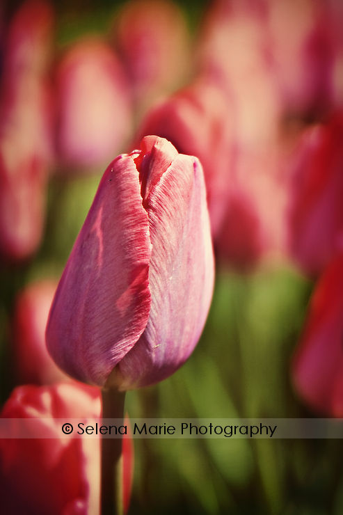 20100417_blog_03-2