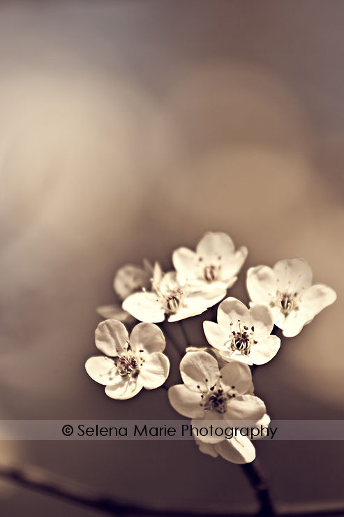 20100417_blog_03