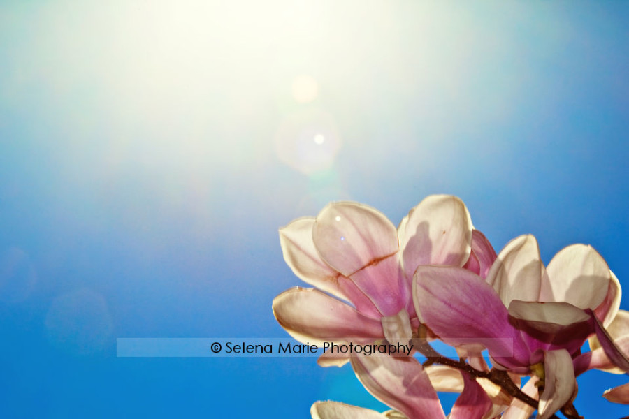 20100417_blog_04