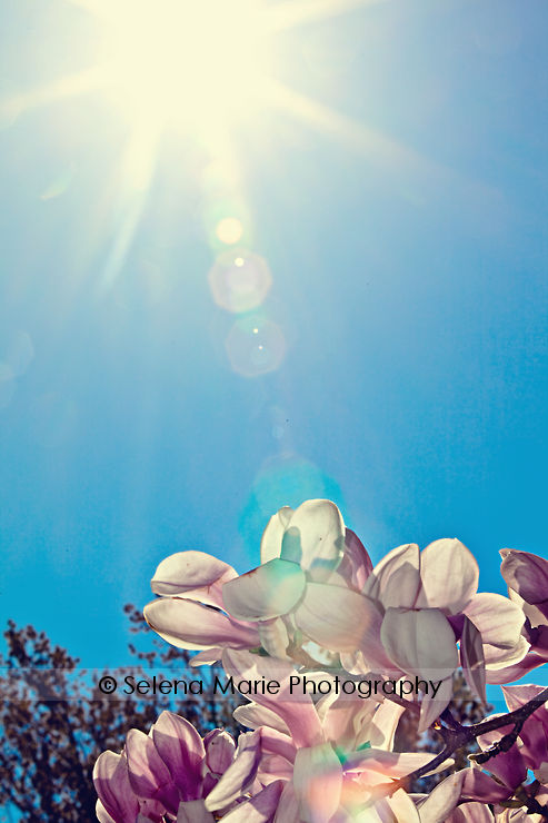 20100417_blog_05