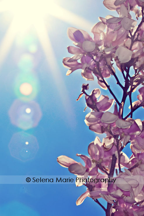 20100417_blog_06