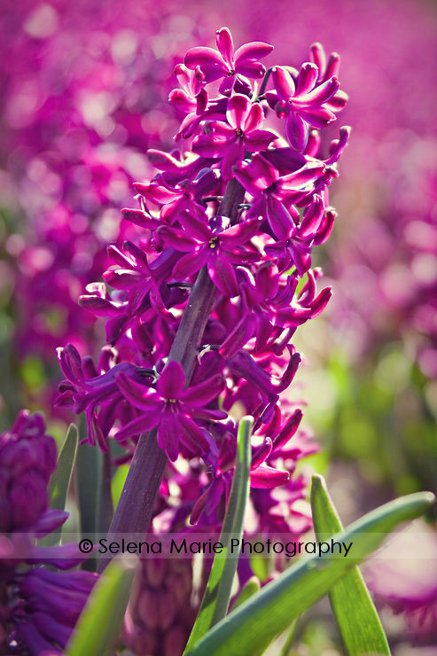 20100417_blog_07