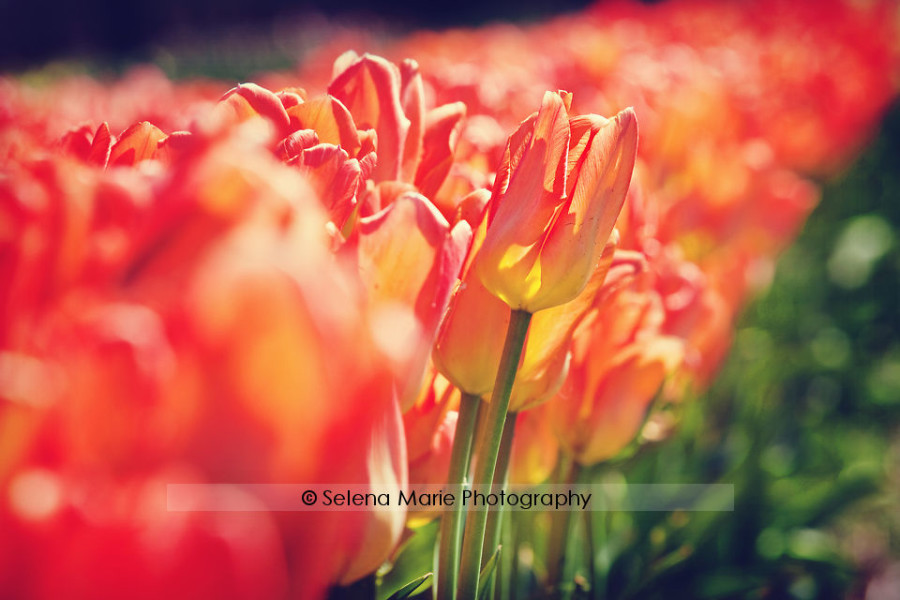 20100417_blog_08