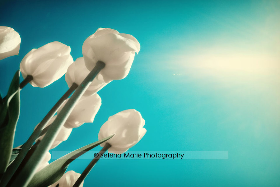 20100417_blog_09