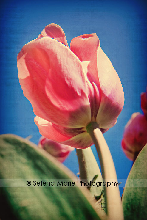 20100417_blog_10